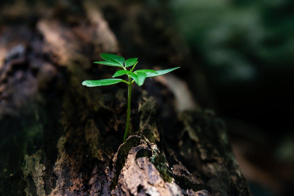 人生迷茫怎麼辦？