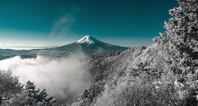 怎麼拿到日本永住？