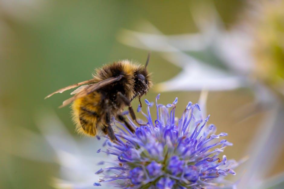 Bumble一定要女生先開頭嗎？