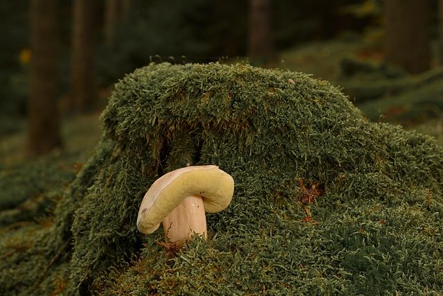 科技有什麼好處？