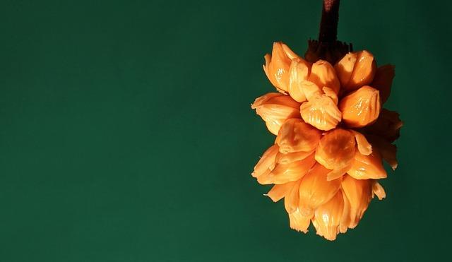 履歷一次投幾間?