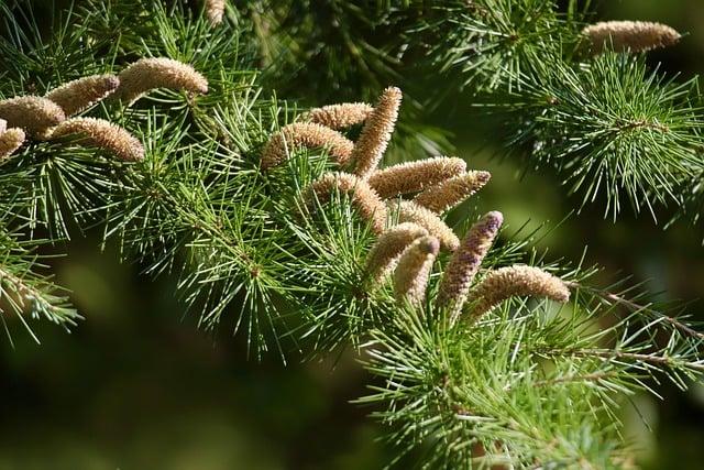 怎樣和家人相處？