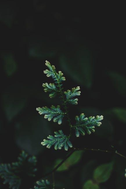 MBTI真的準嗎?