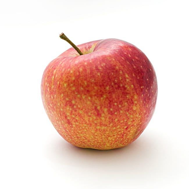 Apple訂閱可以退款嗎?